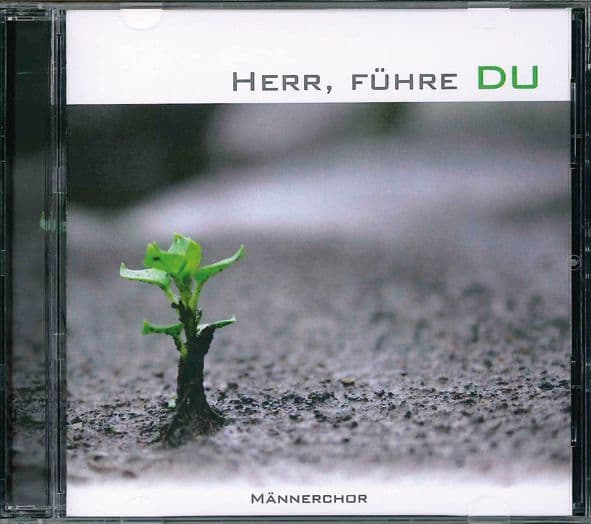 Cover: Herr, führe du