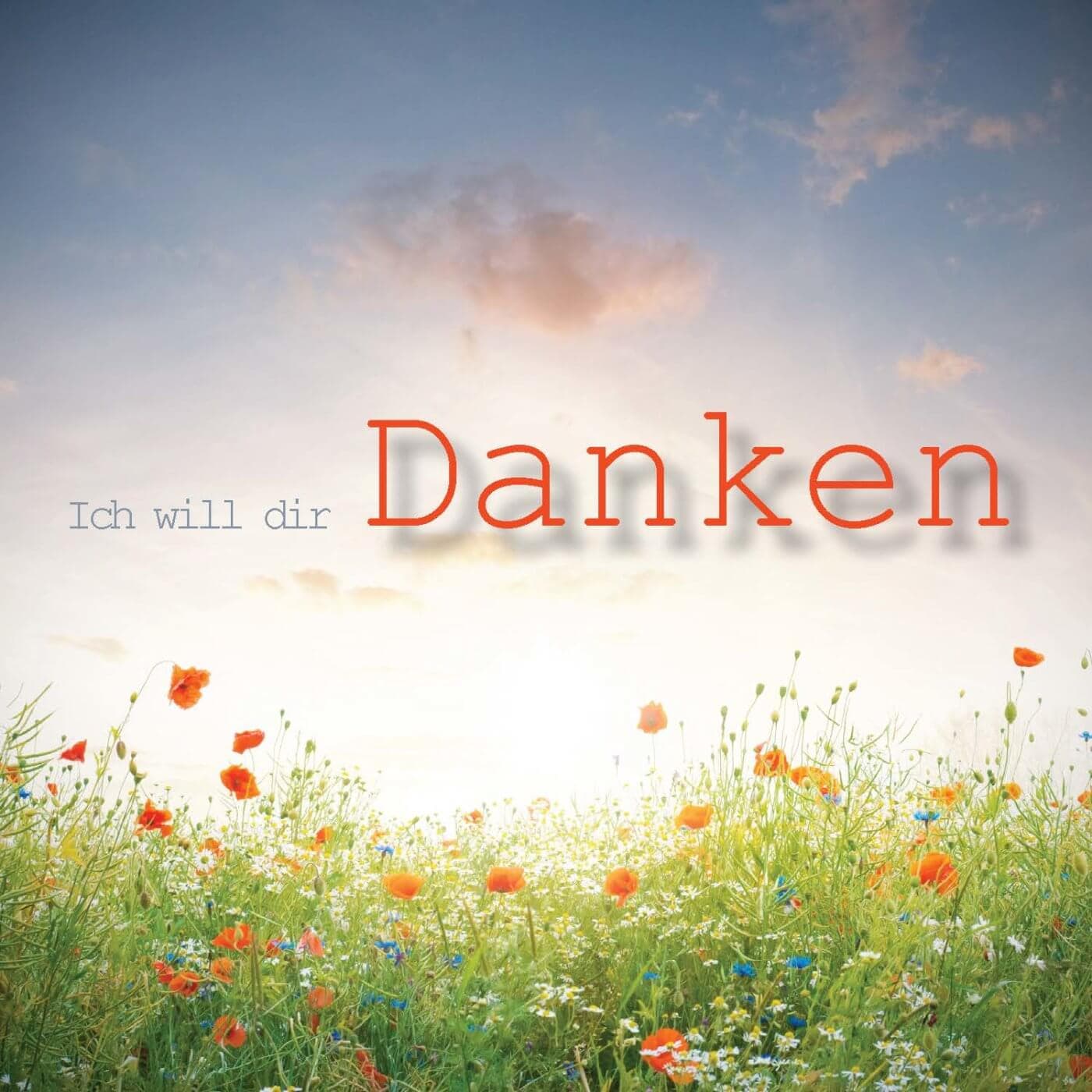 Cover: Ich will dir danken