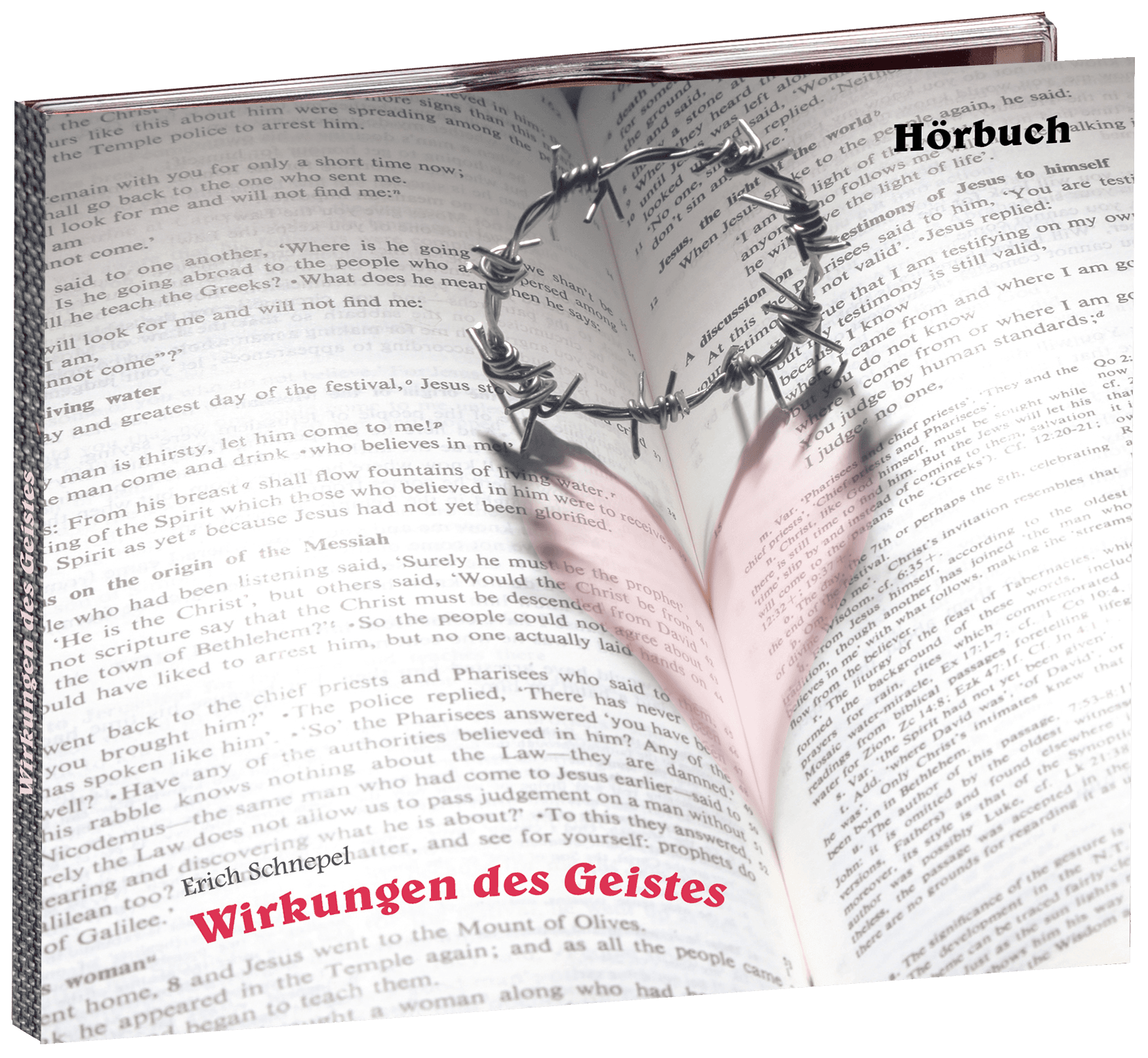 Cover: Wirkungen des Geistes