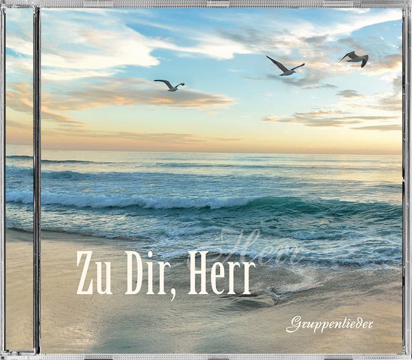 Cover: Zu Dir, Herr