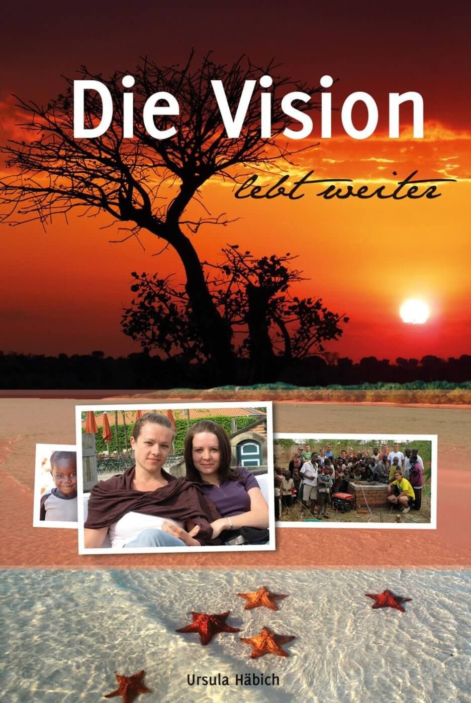 Cover: Die Vision