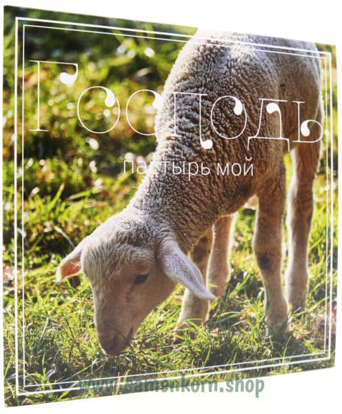 Cover: Gospodj, pastyrj moj