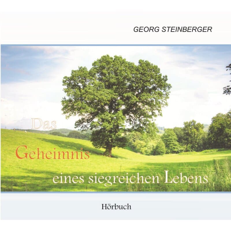 Cover: Das Geheimnis eines siegreichen Lebens