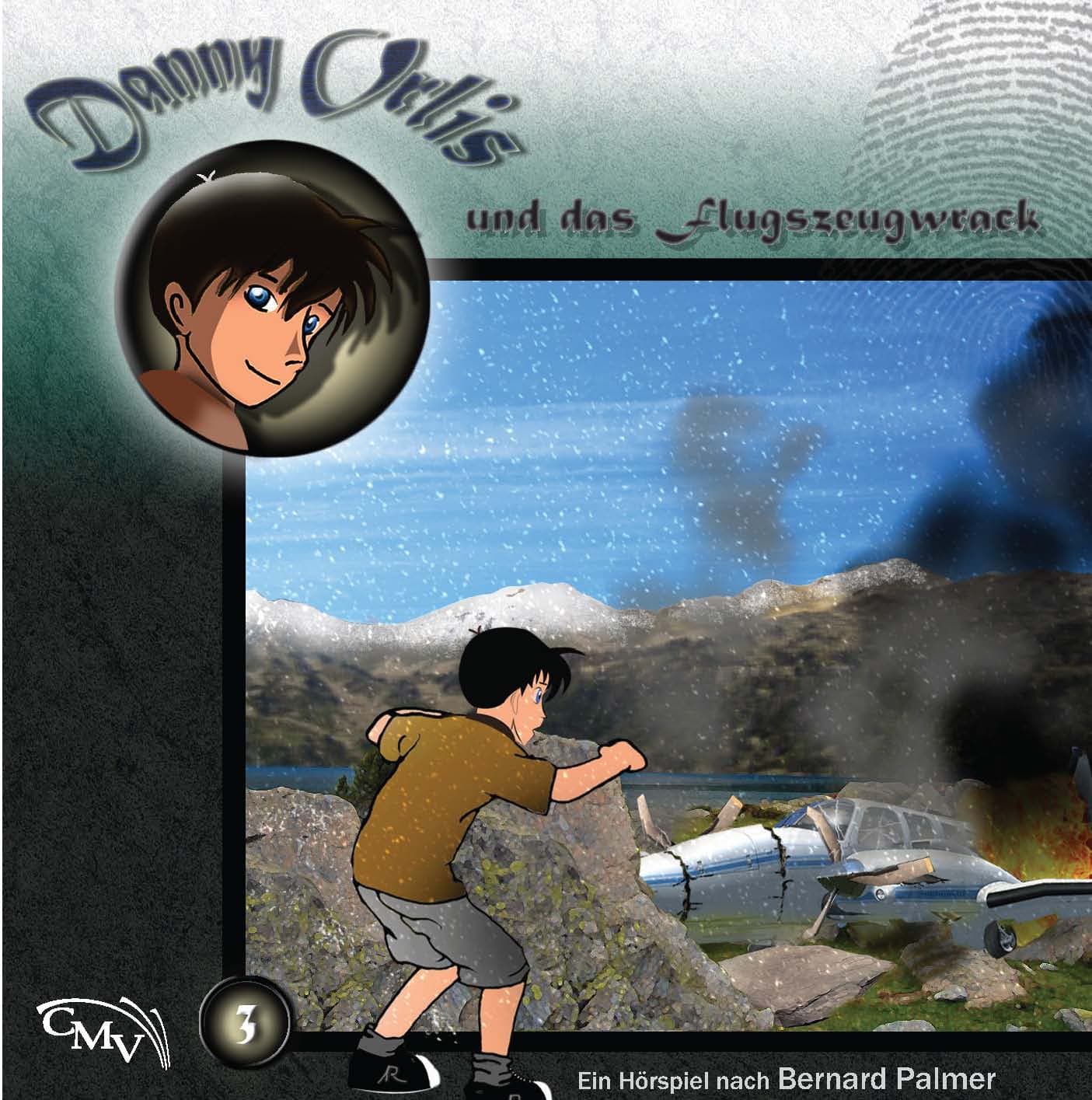 Cover: Danny Orlis und das Flugzeugwrack